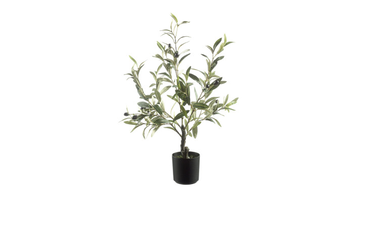 Olivenbaum 62 cm mit grünen Blättern mit schwarzen Oliven aus Kunststoff.