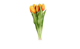 Tulpen Bund 31 cm 