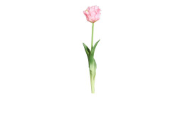 Tulpe 45 cm in Pink