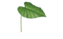 Philodendron-Blatt 63 cm aus Kunststoff in grün.