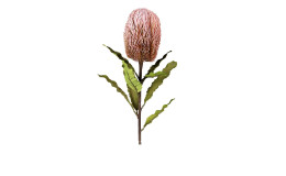 Protea 65 cm aus Kunststoff mit grünen Stiel und Blätter und rosa Blüte.