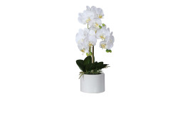 Orchidee-Phalaenopsis 55 cm aus Kunststoff mit weißen Blüten und Untertopf und grünen Stiel und Blätter.