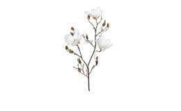 Magnolie 87 cm in beige