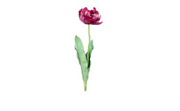 Tulpe 64cm in pink, violett 