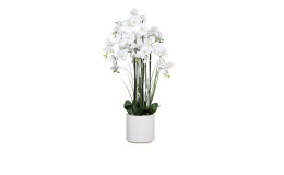 Orchideen-Arrangement 120 cm in weiß