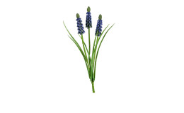 Muscari 29 cm mit lila Blüten und grünen Steil aus Kunststoff.