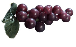 Weintrauben 10 cm aus Kunststoff in lila mit zwei grünen Blätter.
