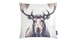 Kissenhülle Wild Animals 45 x 45 cm