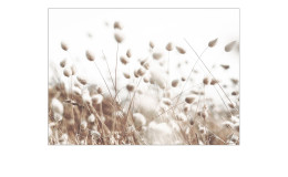 Alubild Field Flowers 70 x 100 cm, Pflanzen