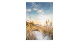Alubild Wilder Strand 70 x 100 cm, Standausblick
