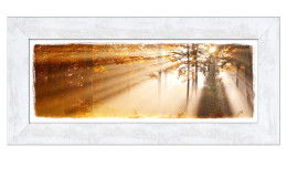 Rahmenbild Mystic Light 44 x 94 cm. Rahmenbild mit dem Thema - Wald.