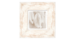 Rahmenbild The Feather 34 x 34 cm. Rahmenbild mit dem Thema - Feder.