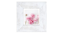 Rahmenbild Peonies 34 x 34 cm. Rahmenbild mit dem Thema - Blumen.