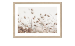 Rahmenbild Dried Fiber in the Wind 55 x 75 cm. Rahmenbild mit dem Thema - Natur.