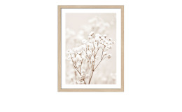 Rahmenbild Dried Fiber in the Wind 33 x 43 cm