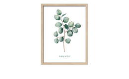 Rahmenbild Different Eucalyptus Br. 33 x 43 cm