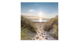 Leinwandbild Nordsee 30 x 30 cm