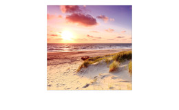 Leinwandbild Sea Harmony 30 x 30 cm