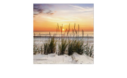 Leinwandbild Lonely Dune 30 x 30 cm