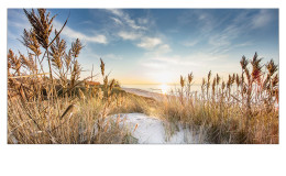 Alubild Wilder Strand 100 x 200 cm