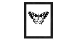 Rahmenbild Butterfly 24 x 19 cm