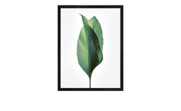 Rahmenbild Jungle Leaves I 24 x 19 cm