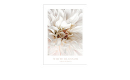 Alubild White Blossom 70 x 100 cm