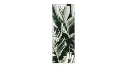 Leinwandbild Jungle Leaves 30 x 80 cm