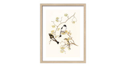 Rahmenbild Birds 33 x 43 cm