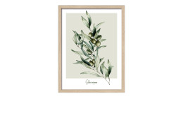 Pro-Art Rahmenbild Oliven 33 x 43 cm: Botanischer Olivenzweig auf Holzwerkstoff, Glasfront, mehrfarbig.
