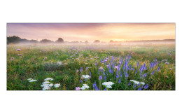 Glasbild Morning Haze 30 x 80 cm