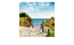 Leinwandbild Summer Breeze I 40 x 40 cm