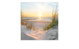 Leinwandbild Beach View 40 x 40 cm