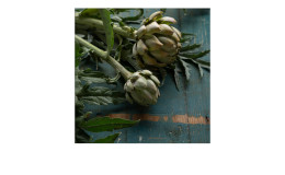 Glasbild Artichoke I 30 x 30 cm