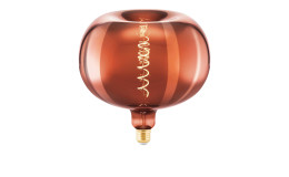 LED-Leuchtmittel 110101 E27