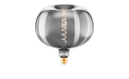 LED-Leuchtmittel 110098 E27