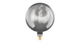 LED-Leuchtmittel 110095 E27