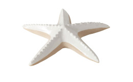 Deko Seestern Shelby 