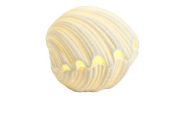 Muschel 8,5 cm in weiß aus Porzellan beleuchtet.