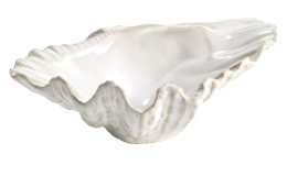Porzellan-Muschel 17,5 cm in weiß.