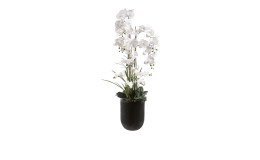 Orchidee 150 cm 
