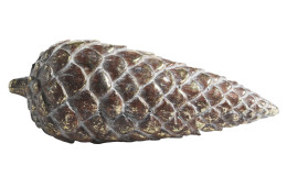 Tannenzapfen 15 cm