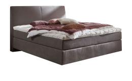 Boxspringbett vito Assetto in der Farbe Grau