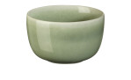 Die Schale Saisons 9 cm von ASA Selection ist eine kleine, runde, hellgrüne Schale aus Steinzeug mit einer glänzenden Oberfläche.