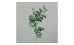 Eukalyptuszweig 64 cm aus Kunststoff in grün. Auf einem grauen Hintergrund.