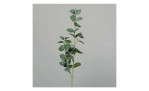 Eukalyptuszweig 100 cm aus Kunststoff in grün. Auf einem grauen Hintergrund.