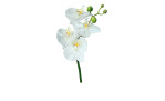 Orchidee-Phalaenopsis 46 cm aus Kunststoff mit einem grünen Stiel und weißen Blüten.