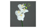 Orchidee-Phalaenopsis 46 cm aus Kunststoff mit einem grünen Stiel und weißen Blüten. Auf einem grauen Hintergrund.
