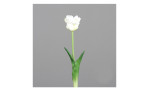 Tulpe 45 cm in weiß mit grauen Hintergrund