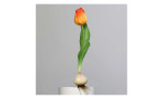 Tulpe mit Zwiebel 25 cm aus Kunststoff mit grünen Blätter und Stiel, oranger Blüte mit roten Verlauf und einer weißen Zwiebel am Ende. Auf einem grauen Hintergrund.